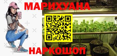гидра Кингисепп