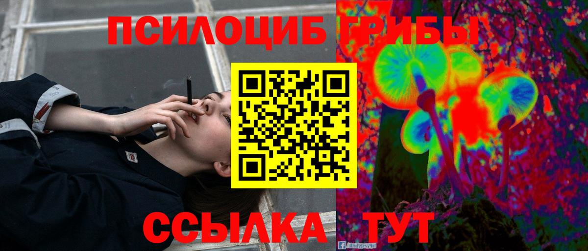 Краснознаменск  Галлюциногенные грибы Psilocybine cubensis  Вход с VPN  Псилоцибиновые грибы ЛСД 