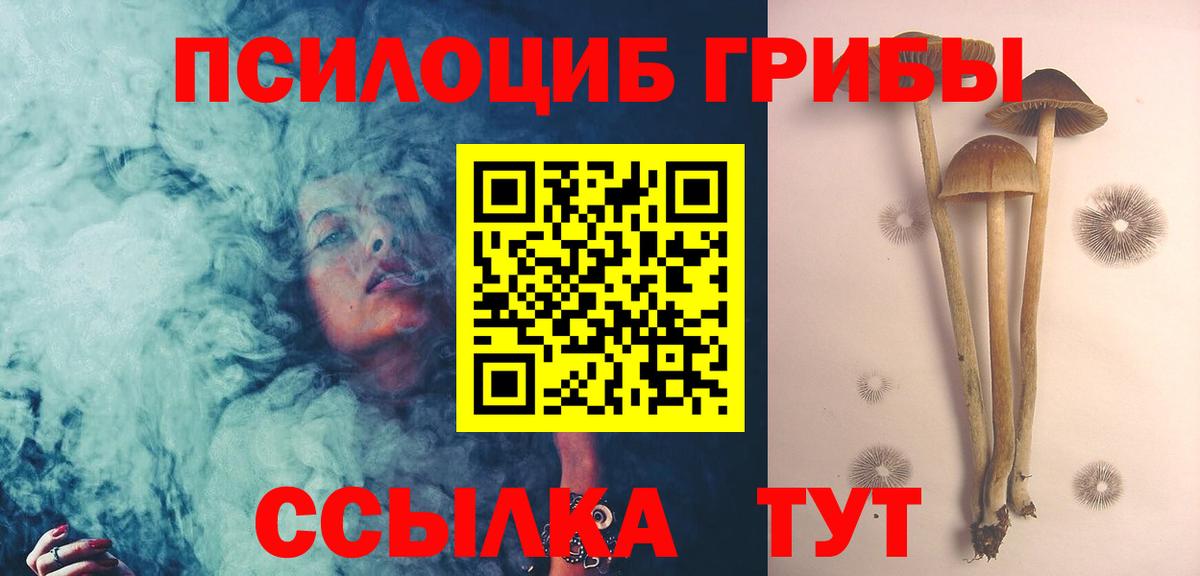 Псилоцибиновые грибы ЛСД Краснознаменск